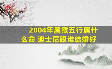 2004年属猴五行属什么命 迪士尼跟谁结婚好